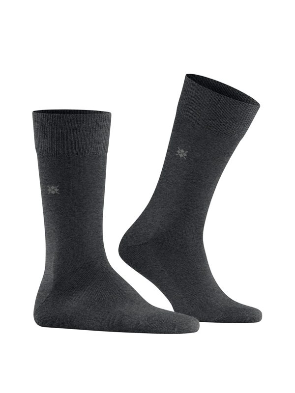 Calcetines cortos de hombre lisos - Gris