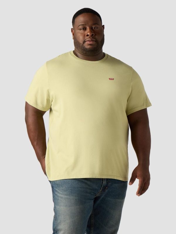 Camiseta de hombre de manga corta con cuello redondo. Tallas grandes - Verde claro