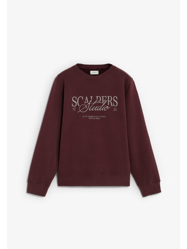 Sudadera de hombre de algodón con estampado frontal - Burdeos